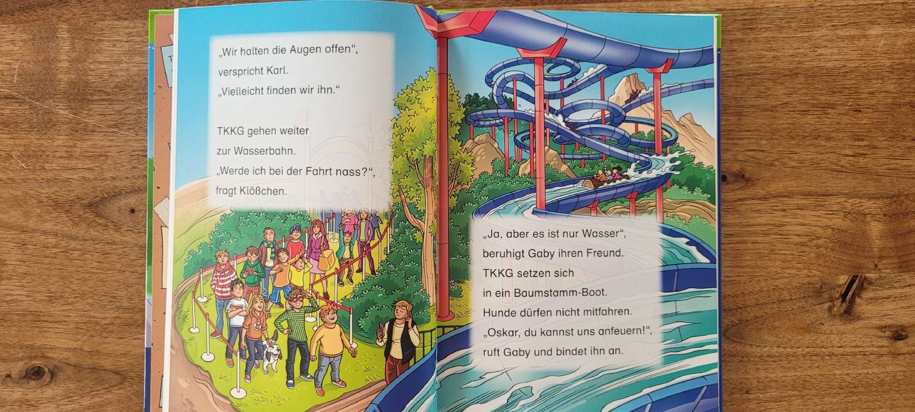 Bücher: TKKG Junior Buch "Tatort Freizeitpark" 1. Klasse – Gebraucht aus Worb von Sibille20 1