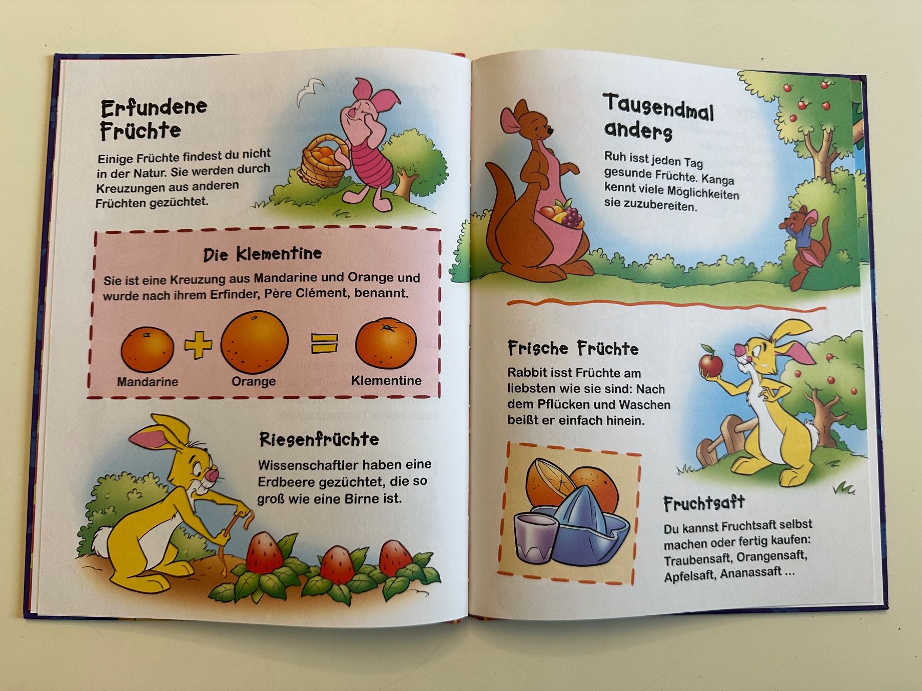 Libri: Winnie Puuh - Entdecke die Früchte – Usato da Münsingen venduto da Ganjam 5