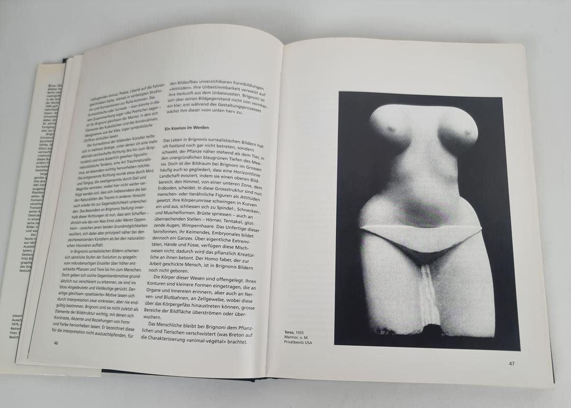 Bücher: Buch Serge Brignoni – Gebraucht aus Urtenen-Schönbühl von Restwert_Schoenbuehl 3