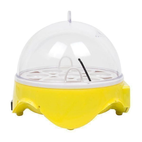 Sonstiges Tierzubehör: Inkubator Brutkasten Brutmaschine 7 Eier – Neu (gemäss Beschreibung) aus Thun von onlino 6
