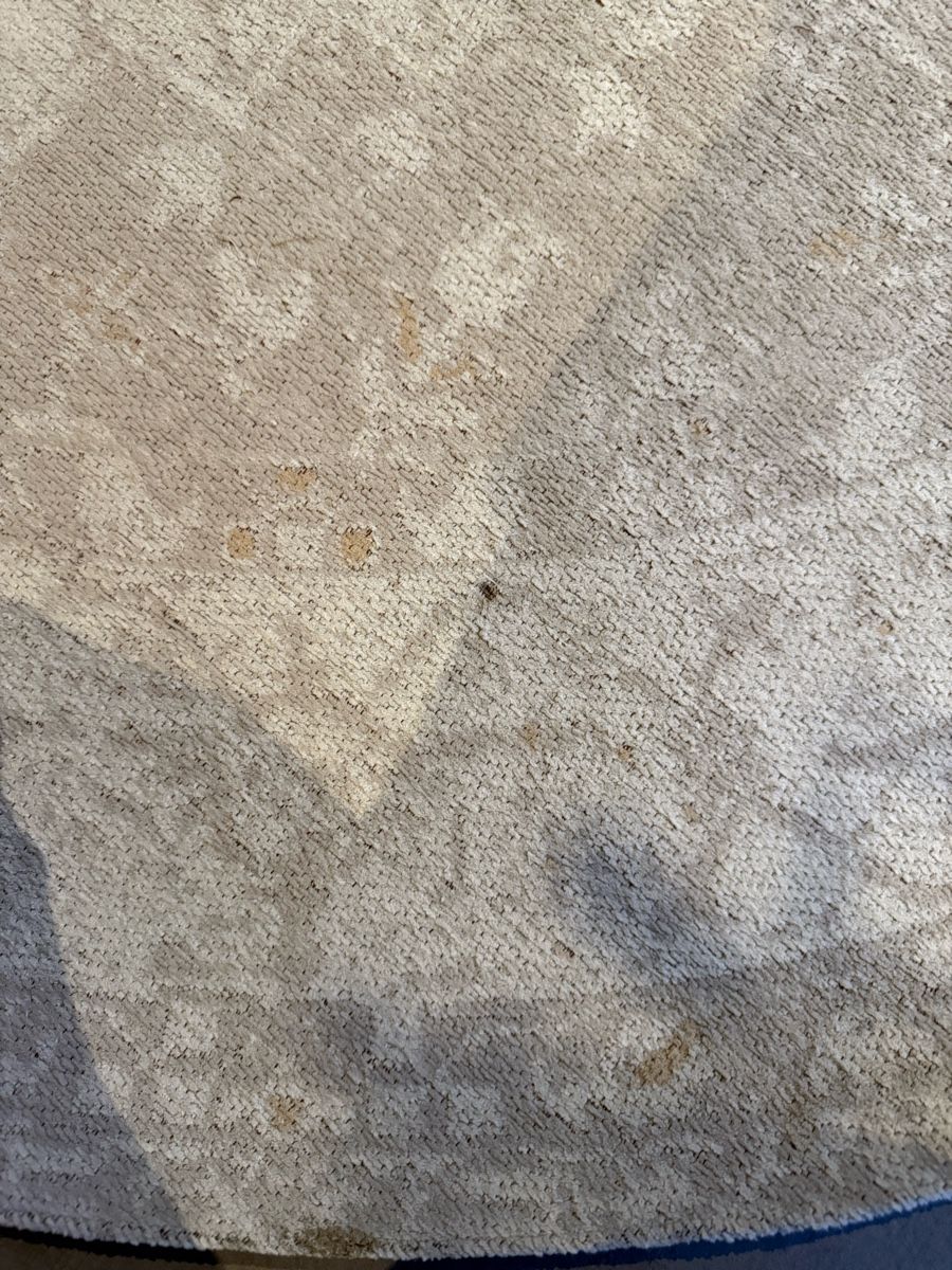 Teppiche: Westwing Collection Teppich 150cm – Gebraucht aus Mauren von Laura241 2