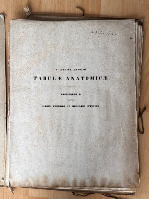Grafica & Litografie: Zwei Lithographien "Tabula Anatimicae" v. Frederici Arnoldi – Usato da Lostorf venduto da Nick1258 3