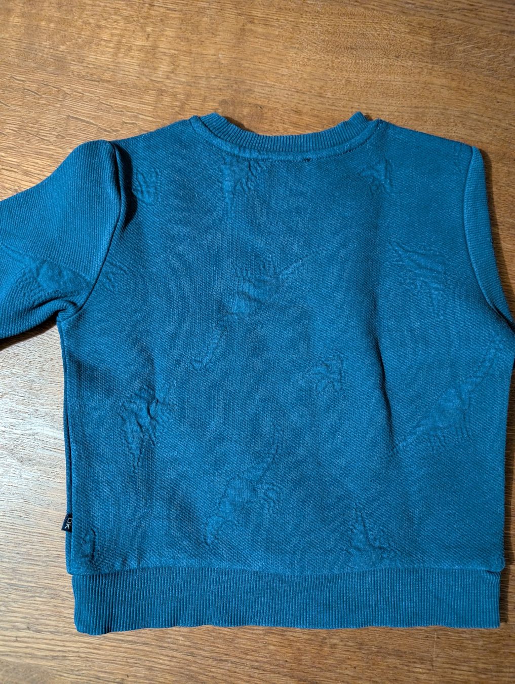 Maglioni & Felpe: Dinosaurier Pullover, Gr. 98/104, blau – Usato da Bern venduto da Zorro333 2