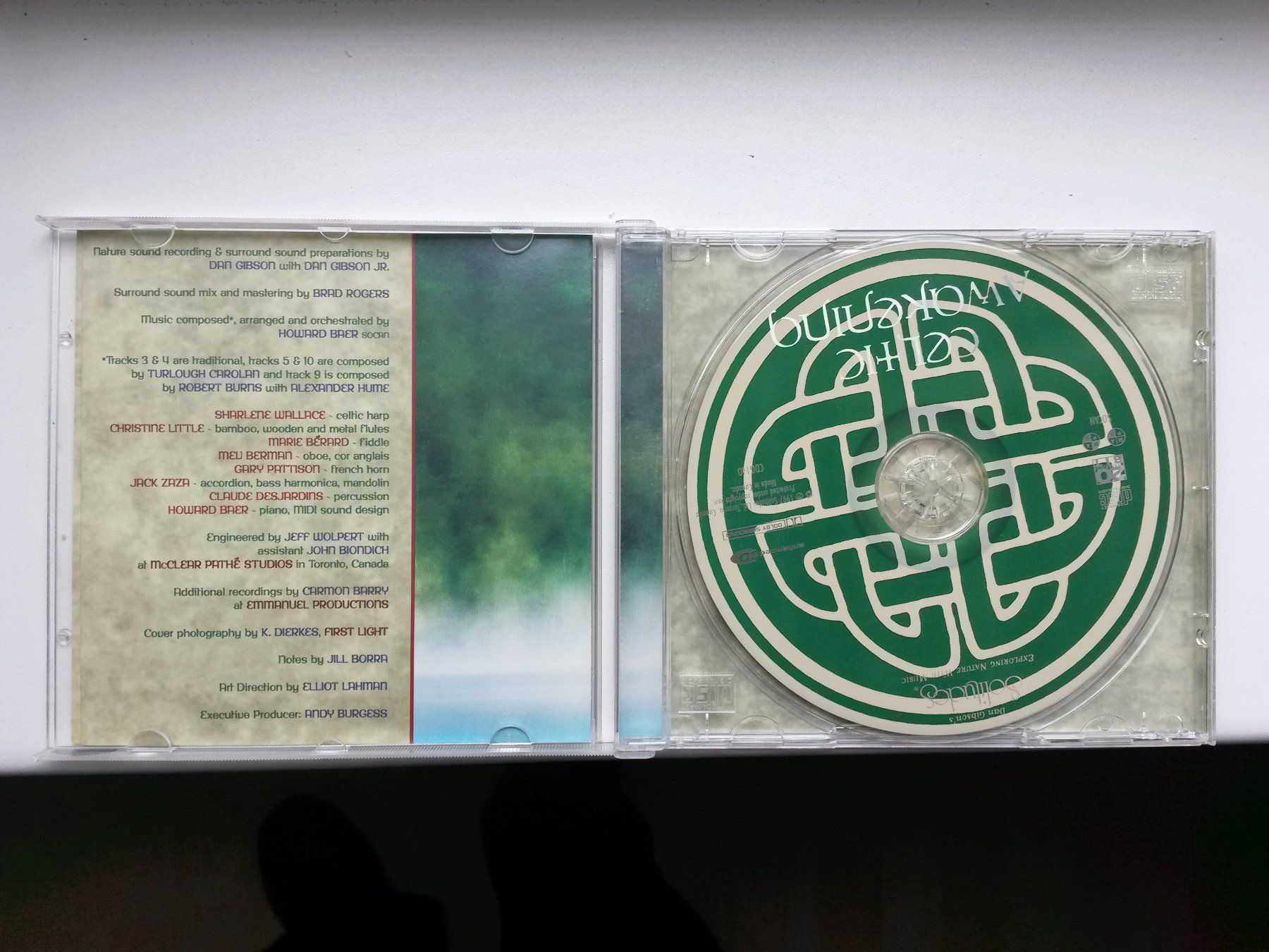 CD: CDs: Simply Red, Dan Gibson, Ed Sheeran, Celine Dion.. – Usato da Widnau venduto da El_Capitan5 2