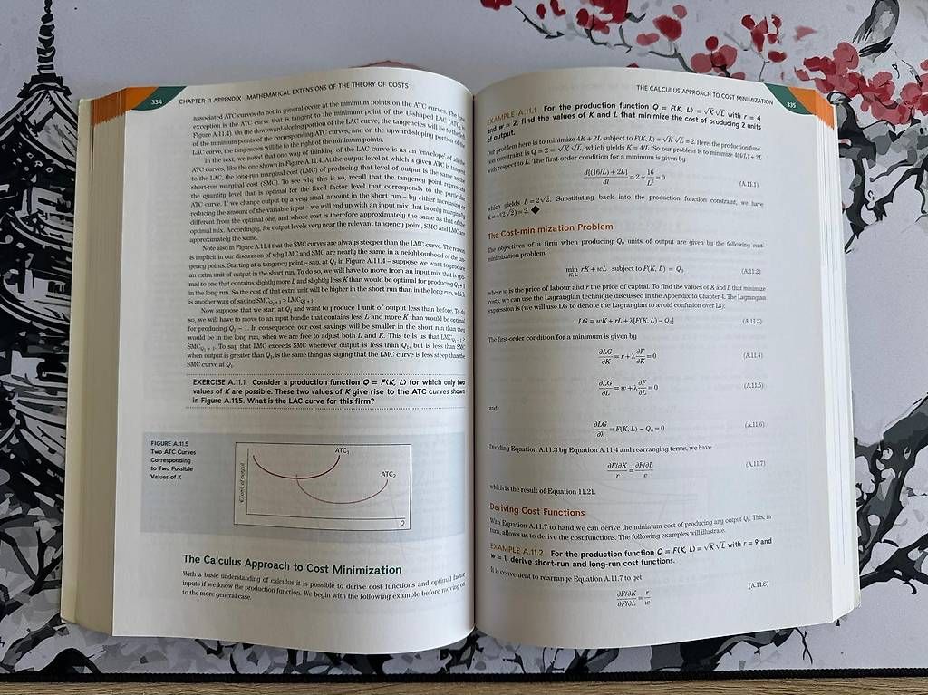 Libri: Microeconomics and Behaviour, 3e by Edward Cartwright – Usato da Luzern venduto da adm_lgz8 2