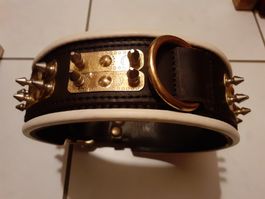 Hundehalsband aus Leder