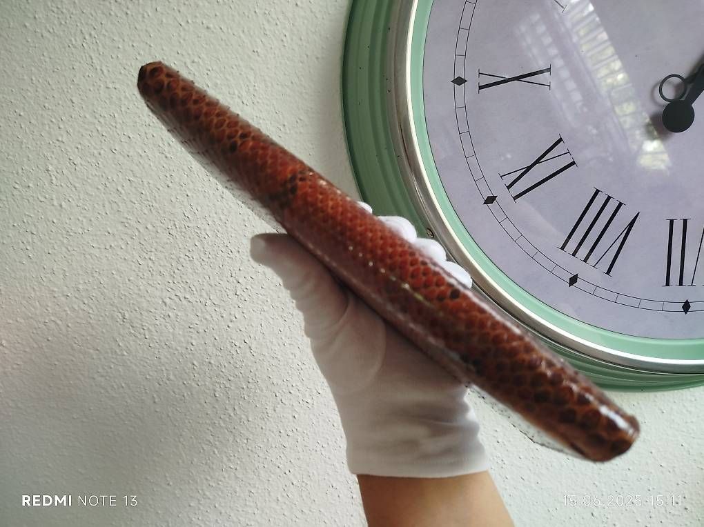 Portemonnaie: Portmonee aus echtem Python-Leder. – Gebraucht aus Rupperswil von Viland_Dann 2