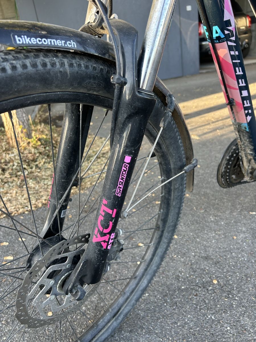 Wheeler Biciclette: Wheeler Damen Velo – Usato da Wettingen venduto da elisabetha06 6