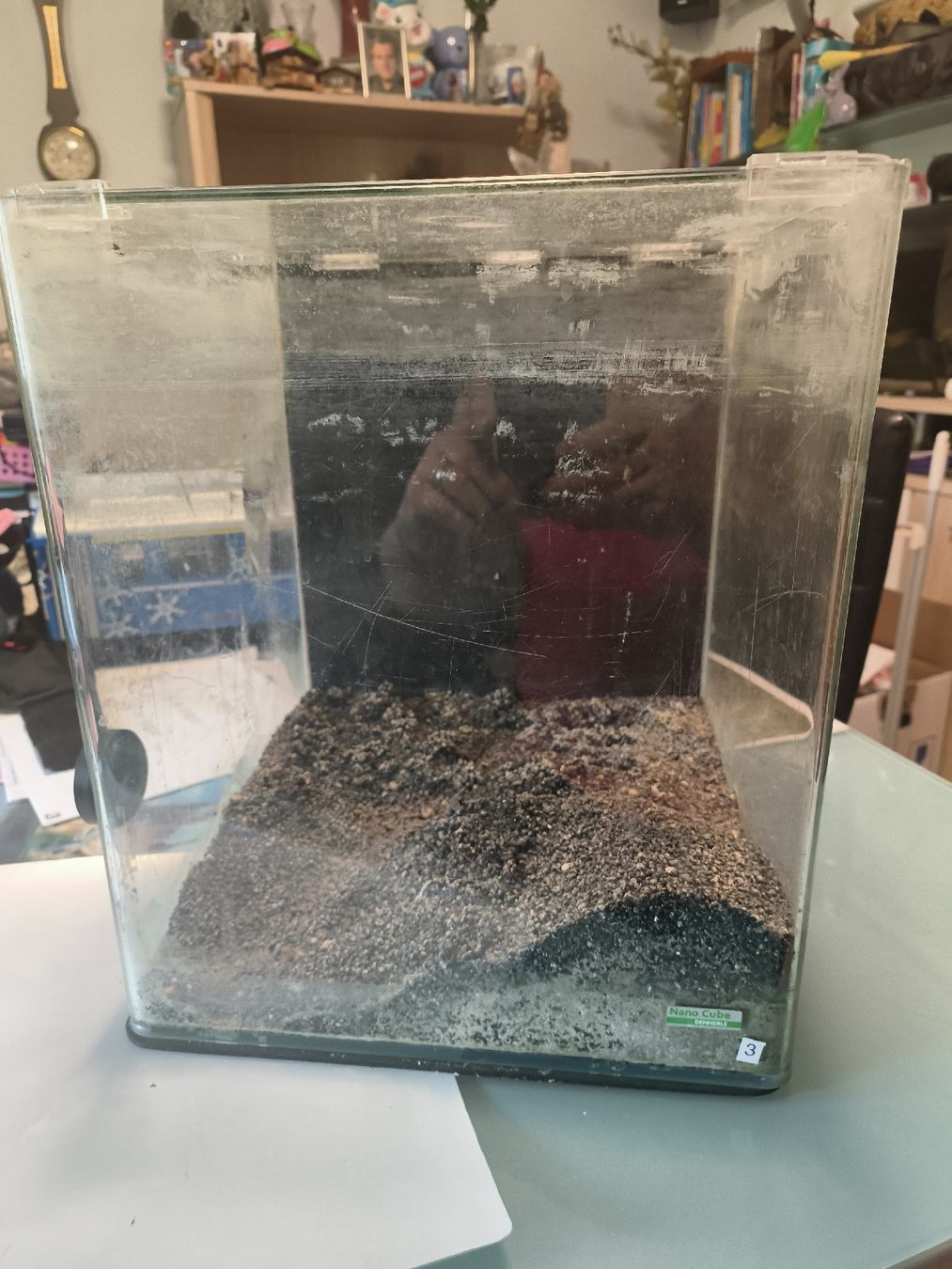 Aquarium: Aquarium Nano Cube – D'occasion à Muttenz par christophkopp 1
