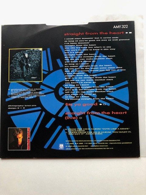 Dischi in vinile: Bryan Adams – Usato da Aarwangen venduto da Jukebox3 1