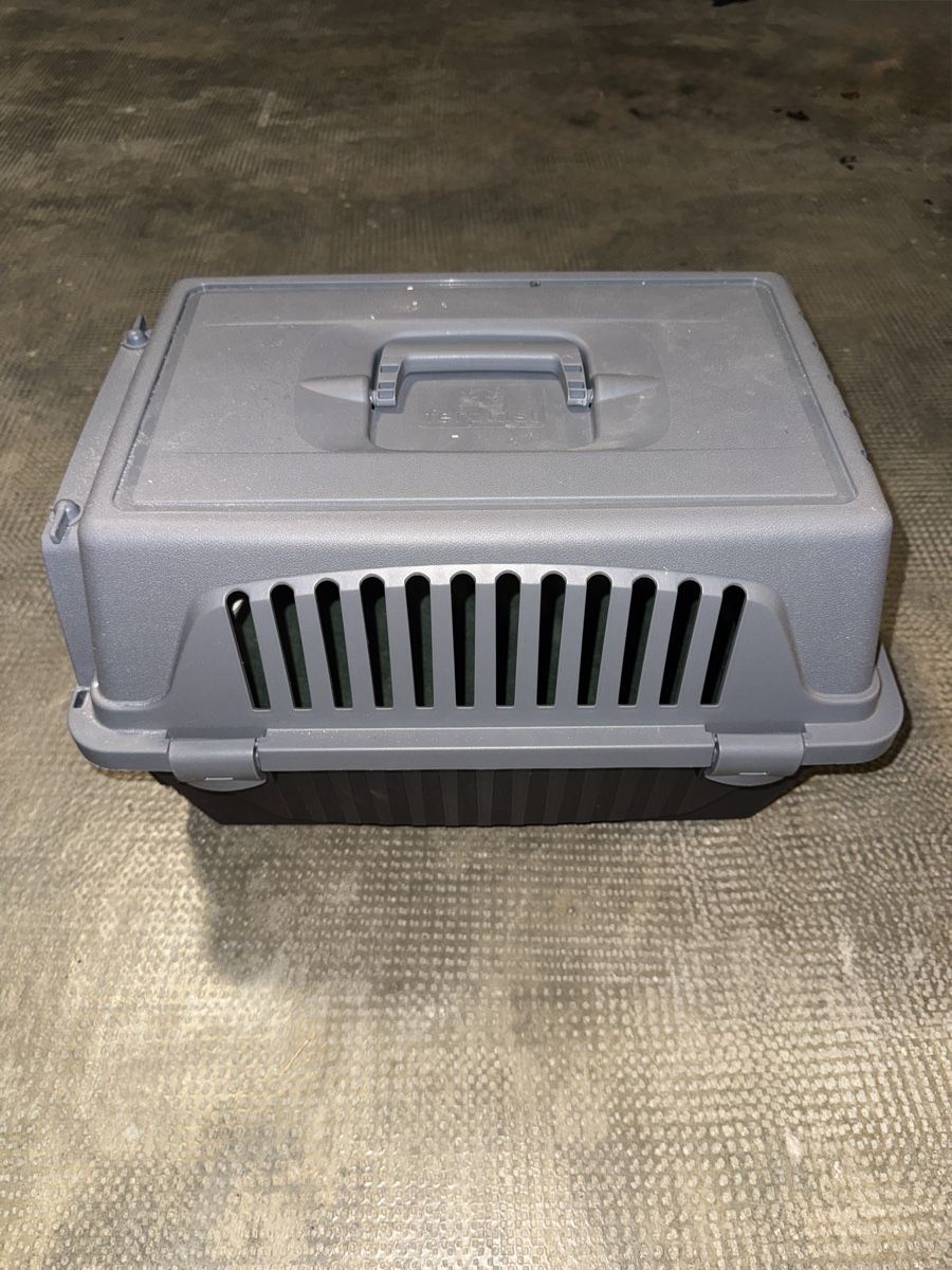 Gabbie, trasporto & Sicurezza: Katzen box – Nuovo (secondo la descrizione) da Muttenz venduto da akb_dys7 2