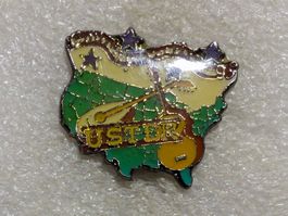 Ansteckpin 207: Uster