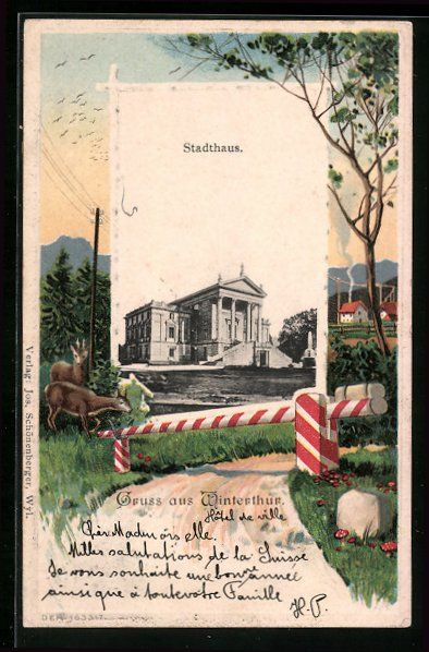 Cartoline postali: Winterthur, Partie am Stadthaus, Rehe am – Usato da Berlin venduto da bartko-reher