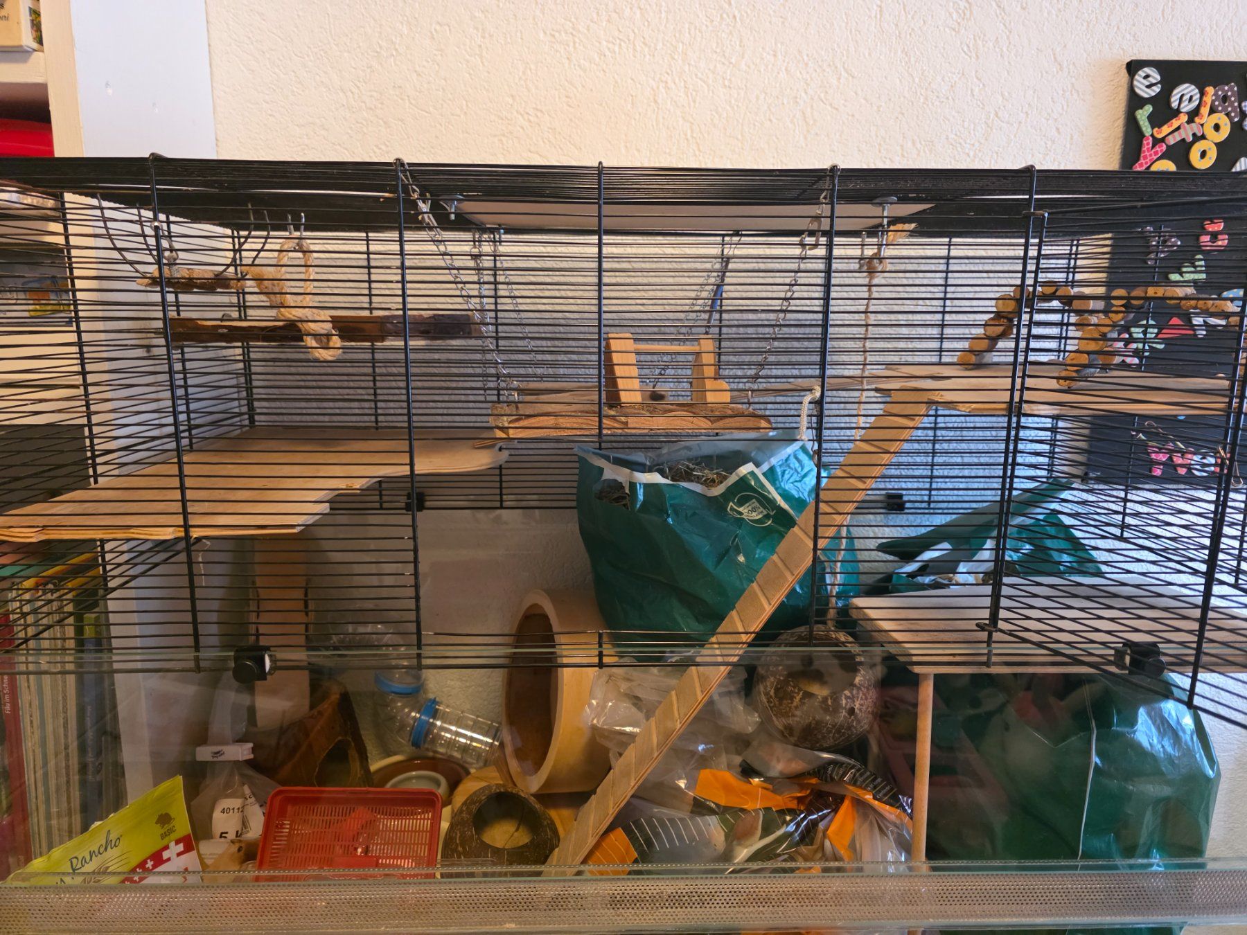 Cages, transport & sécurité: Mäuse Käfig – D'occasion à Otelfingen par The_crow81 1