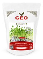 Brokkoli Raab Bio Keimsaat für Keimsprossen/Microgreens 500g