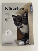 „Kätzchen - Haltung, Beschäftigung, Vergalten, Gesundheit“