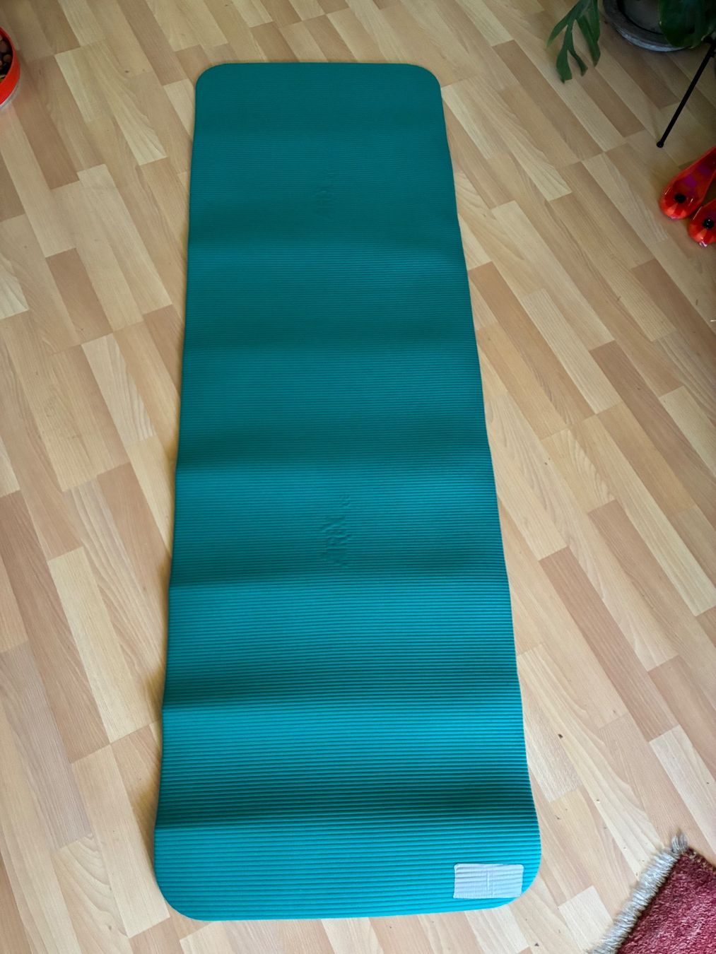 Airex Tappetini fitness: Airex Gymnastikmatte – Usato da Ostermundigen venduto da D.fou 1