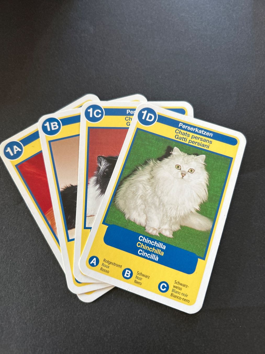 Ravensburger Jeux: Quartett Katzen Ravensburger – Neuf (Voir description) à Beinwil am See par Windlepack 1