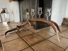 Hirschgeweih mit 4 Schnapsgläser