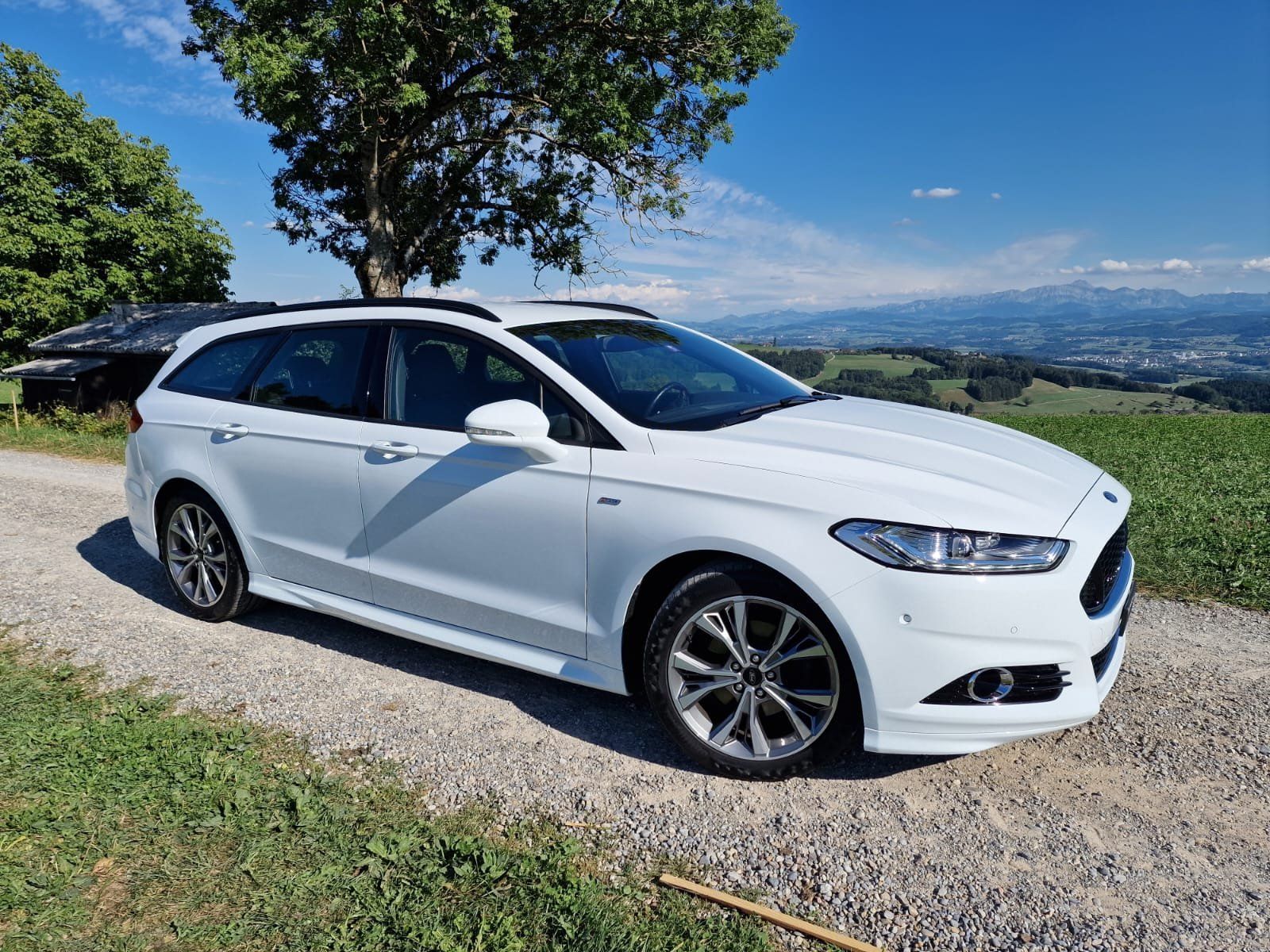 Ford Automobili: Ford Mondeo  ST line # – Usato da Wuppenau venduto da Gastro-Wuppenau