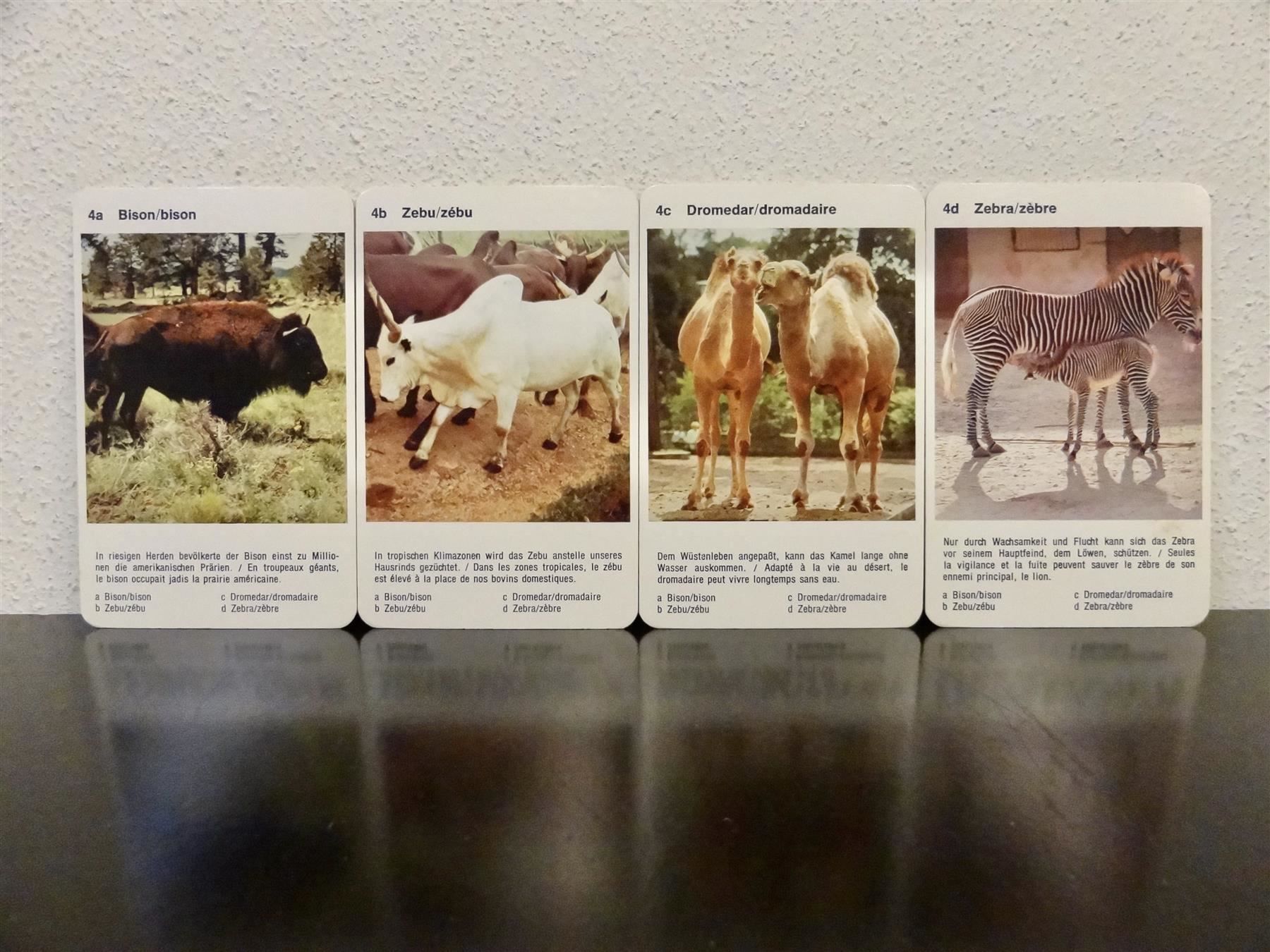Giochi: Quartett TIER-QUARTETT TIERE IM ZOO – Usato da Kerzers venduto da wisaundso 6