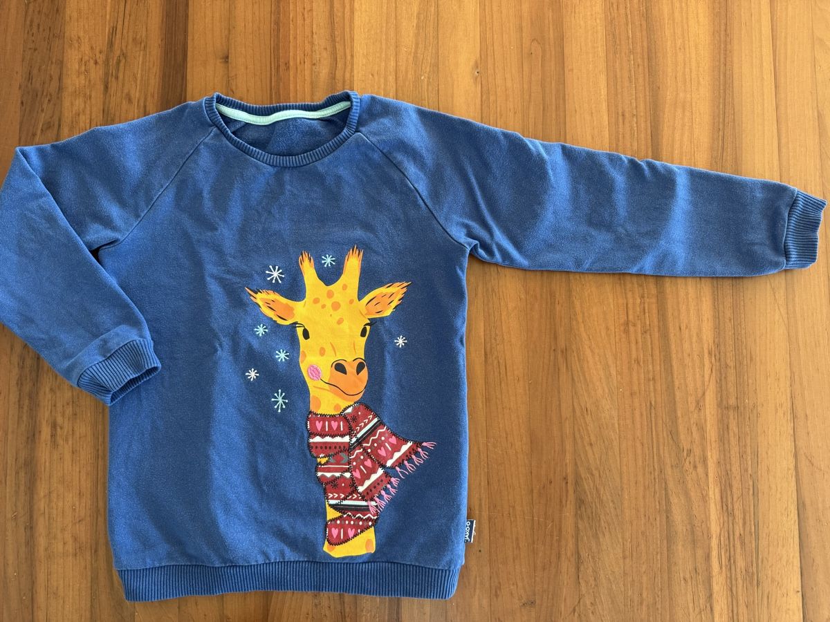 Jako-O Pulls & Sweat-shirts: Pullover Jako-o (Gr. 116/122) – D'occasion à Bern par estrellita2014