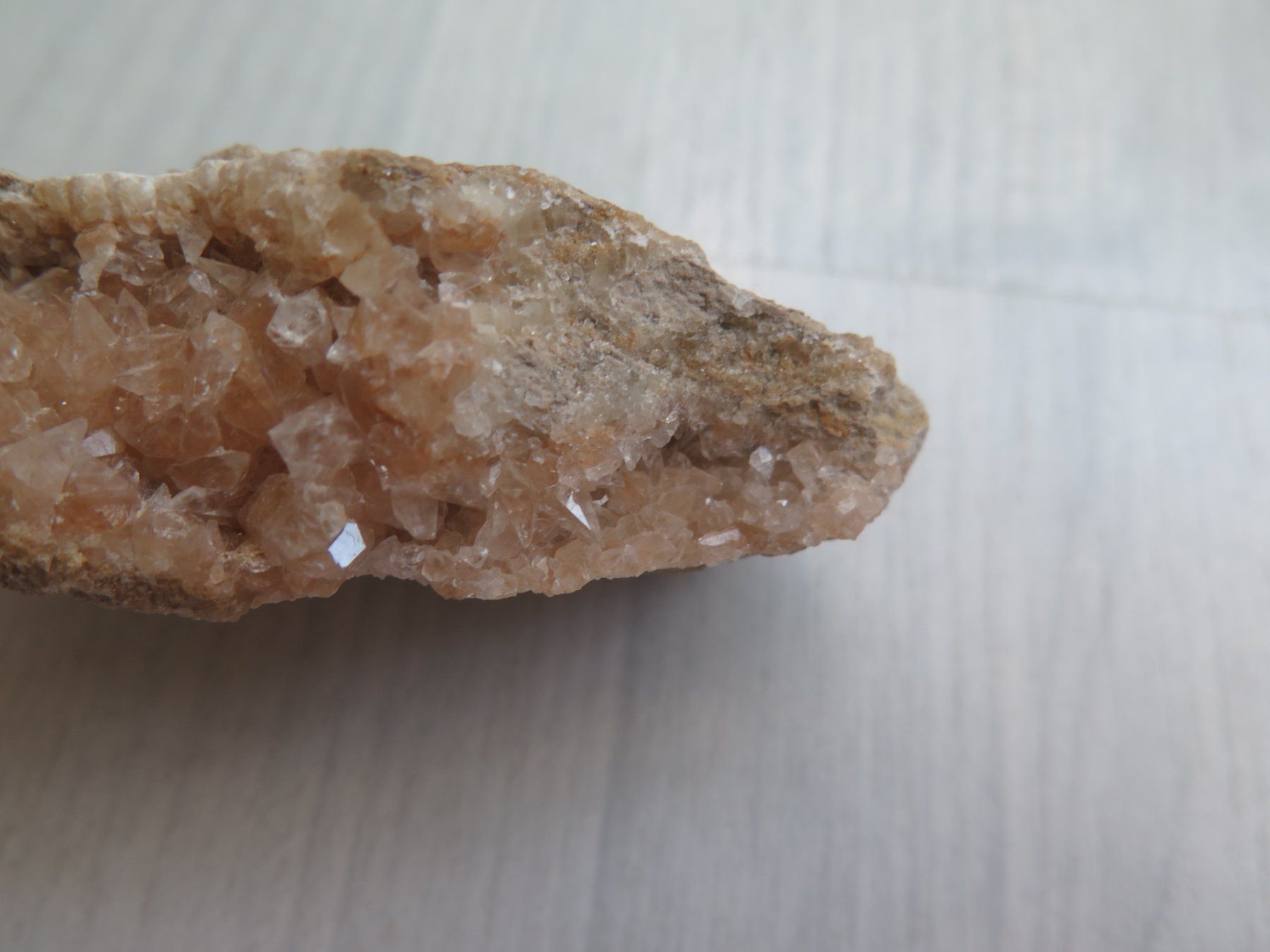 Minéraux & Lithothérapie: Fossil und eine Calcit Stufe – D'occasion à Schaffhausen par Yamakana51L8736OQ8 7