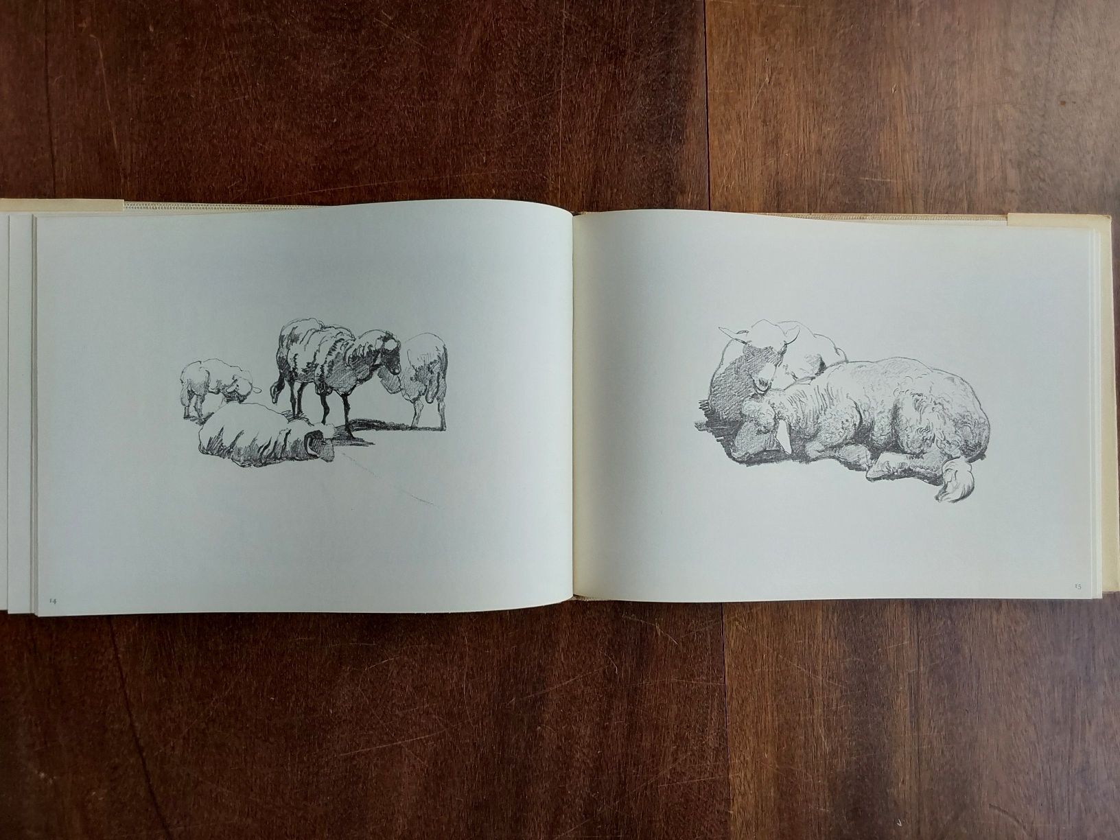 Livres: Rudolf Koller 1966 mit 50 Seiten. – D'occasion à Steinach par Chilli1957 4