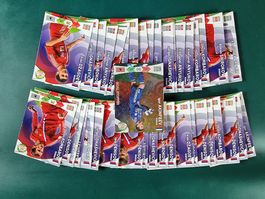 Panini-Bilder FIFA 2014