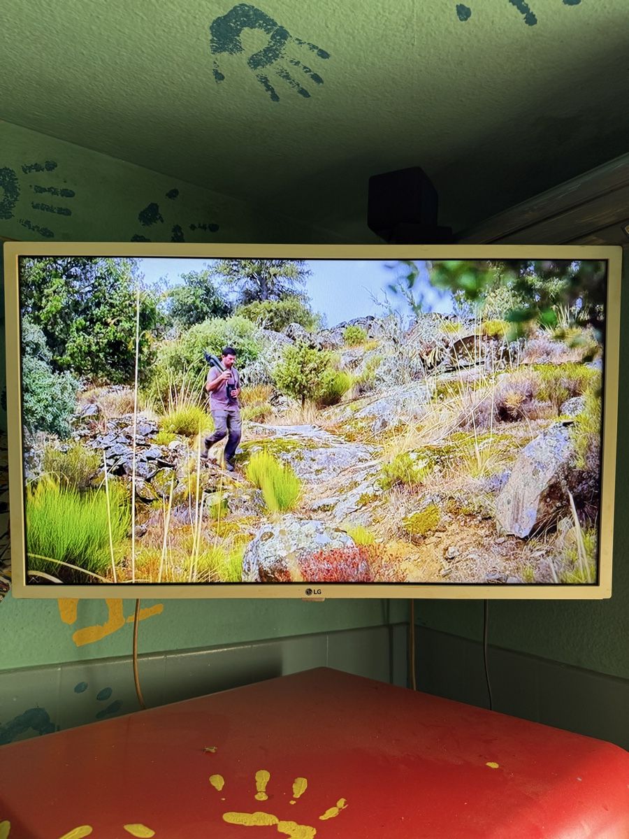 LG Televisori: Fernseher LG 32 Zoll LCD – Usato da Nebikon venduto da Chrogali