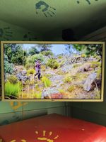 Fernseher LG 32 Zoll LCD