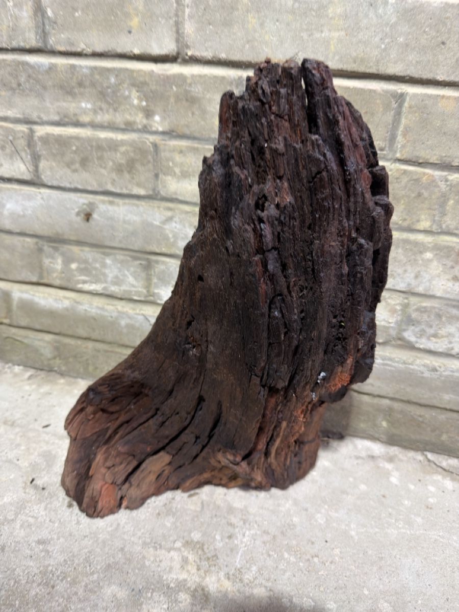 Articoli in legno: Mangrovenholz Aquarium – Usato da Rudolfingen venduto da levinkuendig11