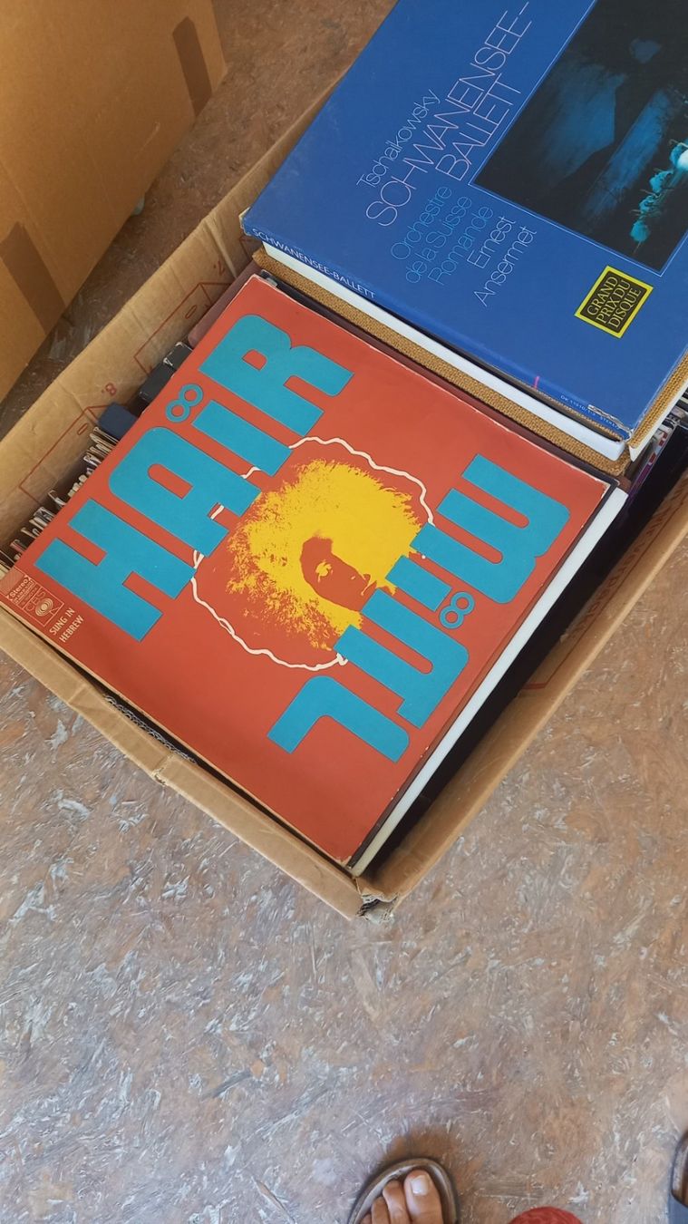 Dischi in vinile: ca 250 Schallplatten – Usato da Rüdlingen venduto da kreatividee 1