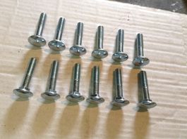 12 Schlossschrauben M 10 x 50 mm, Gewinde 25 mm