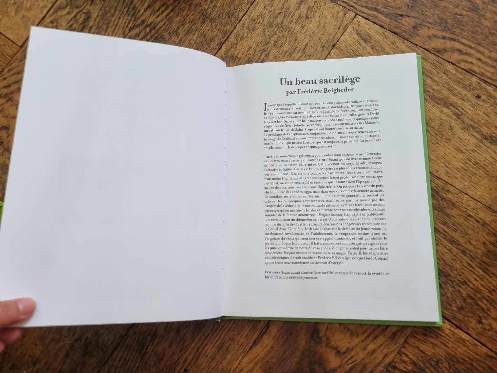 Comics: Bonjour Tristesse, Rebéna/Sagan, BD – Gebraucht aus Fribourg von sal_5ln6 5