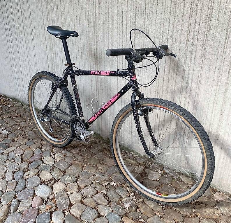 Biciclette: Heavy Tools HT PRO – Usato da Basel venduto da maninn 1