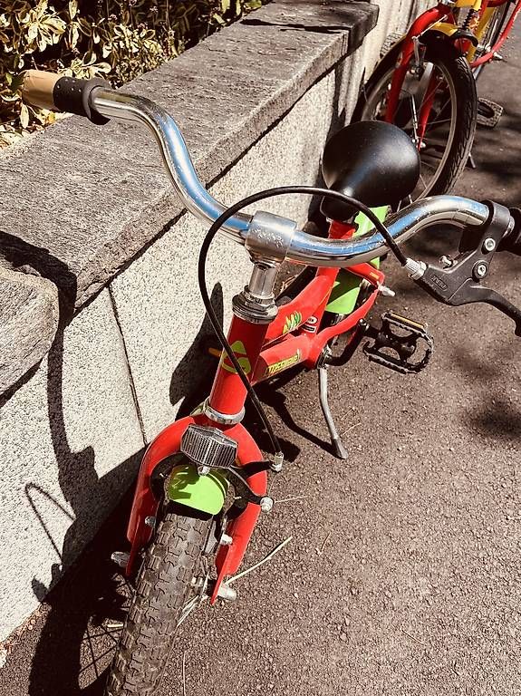 Biciclette: 12 Zoll Kindervelo – Usato da Basel venduto da nic_gz7d