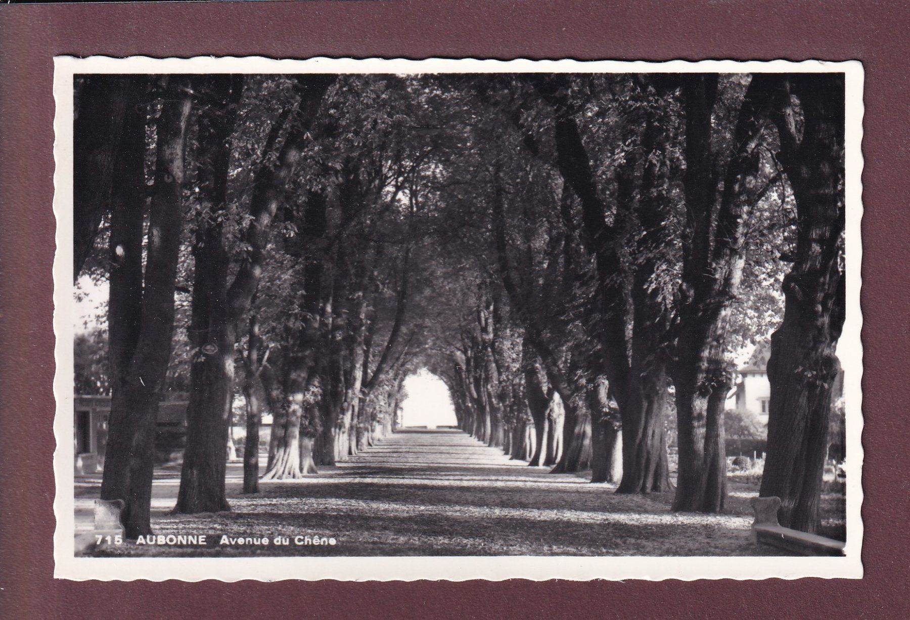 Cartoline postali: AUBONNE - Avenue du Chêne - 1960 – Usato da Pully venduto da nicecards