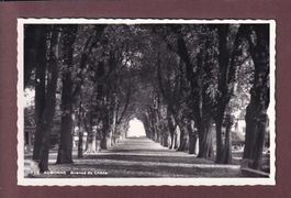 AUBONNE - Avenue du Chêne - 1960