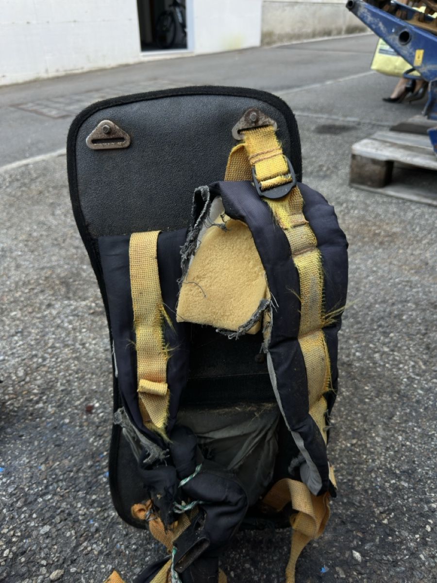 Tondeuses à gazon: Decespugliatore Echo Rm510 – Défectueux à Monte Carasso par Aron1401 2