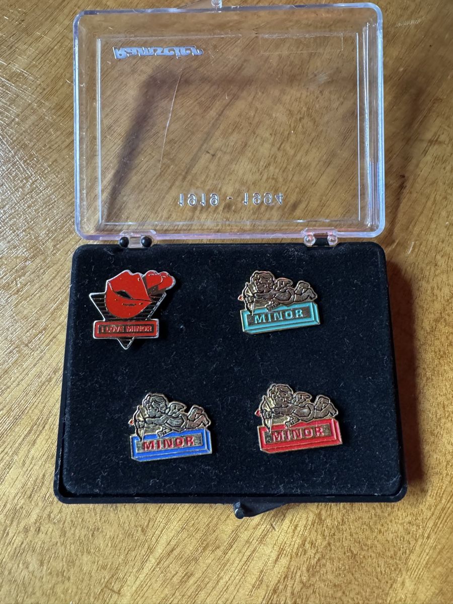 Swiss Placchette & Badge: Minor Pin Set im Ramseier Steckkasten – Usato da Oensingen venduto da Vintage-Lego-Toys 1