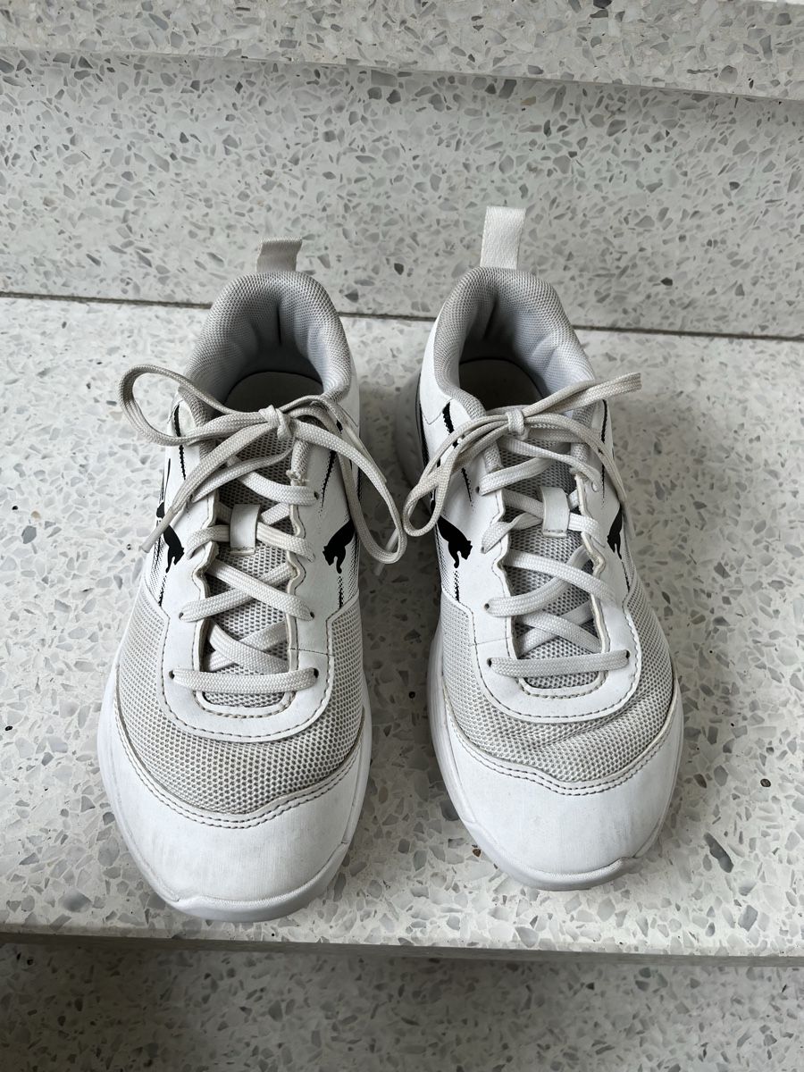 Scarpe per ragazzi: Hallenschuhe Puma Gr. 34.5 – Usato da Luzern venduto da Aldabema 1