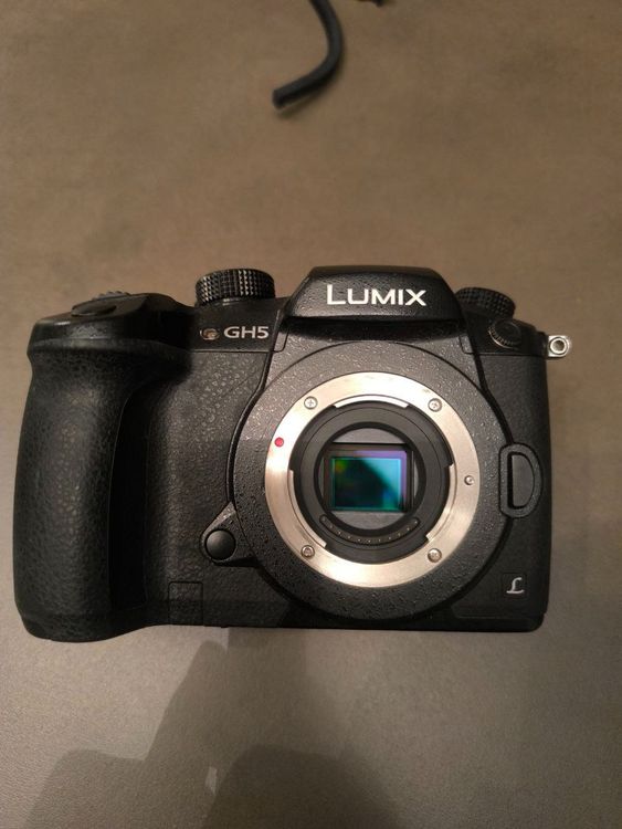 Panasonic Lumix GH5 (Gebraucht) in Crissier für CHF 440 – mit Lieferung ...