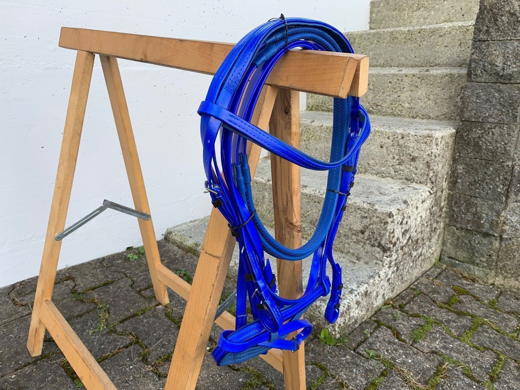Selle & Accessori: schöner blauer Reitzaum – Usato da Feldbach venduto da Fea1 1