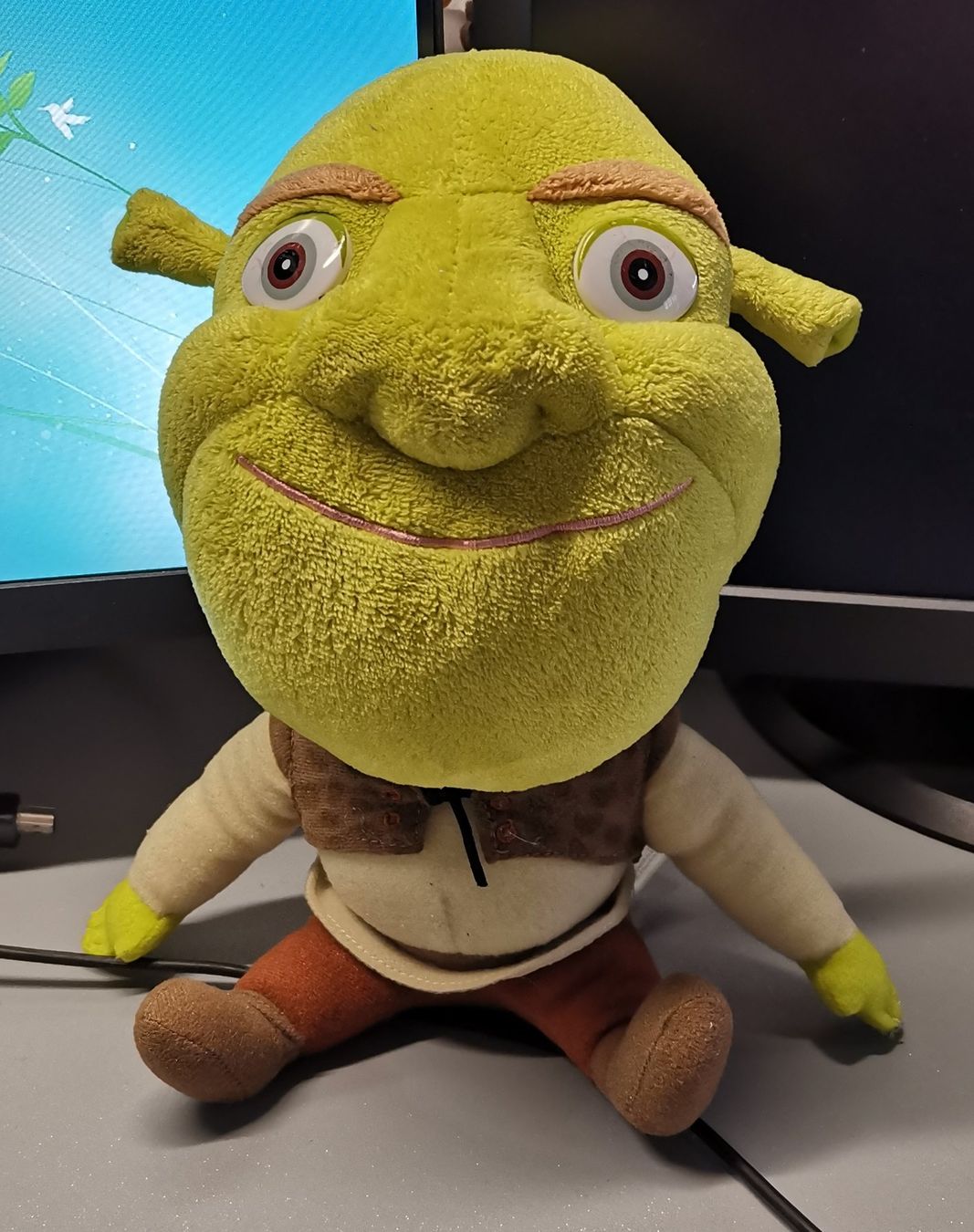 Giocattoli: Shrek peluche / Stofftier – Usato da Genève venduto da Somethingwicked