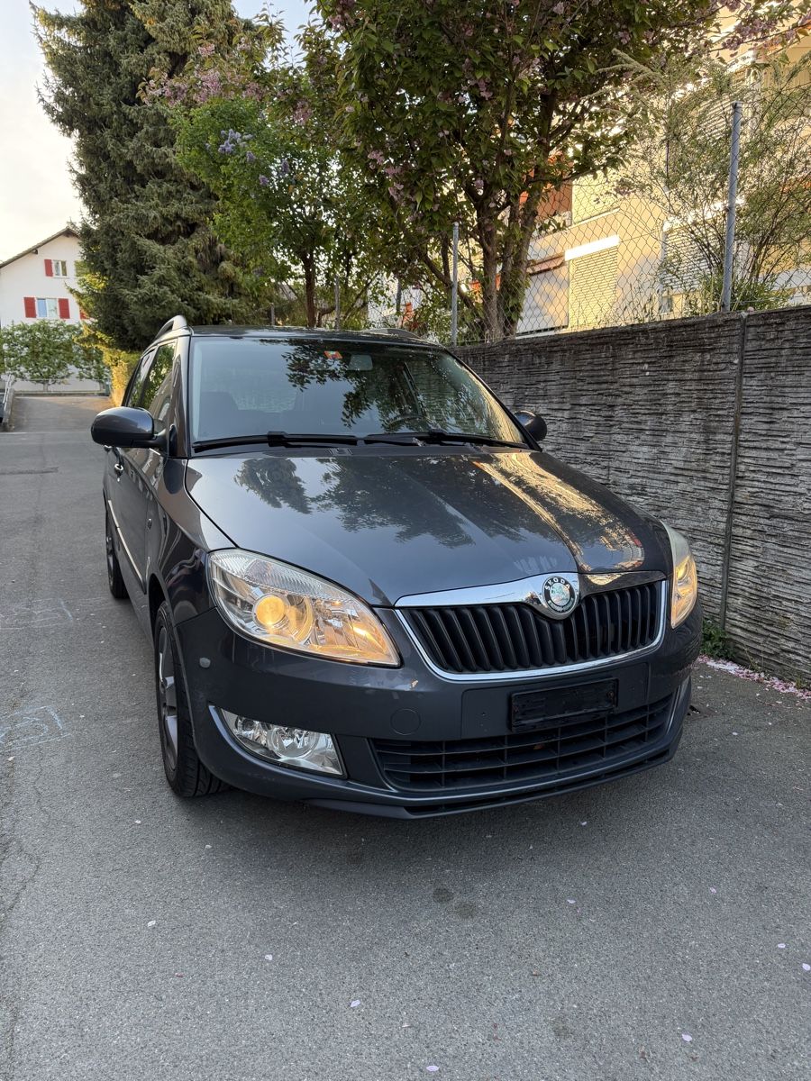 Skoda Automobili: Skoda Fabia Combi – Usato da Thun venduto da illysh