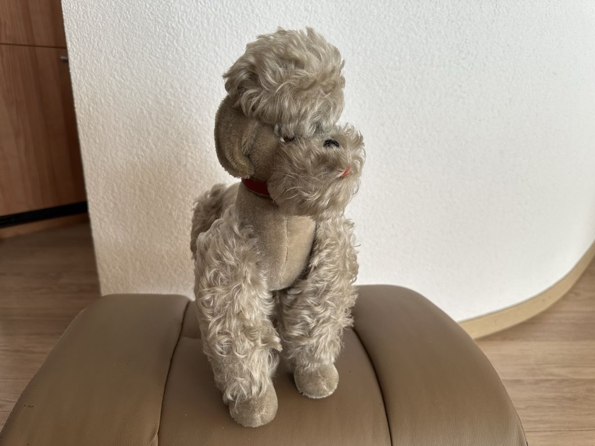 Steiff Giocattoli: Steiff Pudel 50s – Usato da Herbriggen venduto da Sehrazade 2