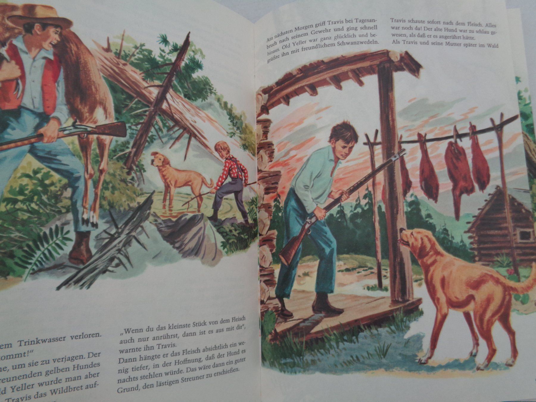 Libri: Walt Disneys - Abenteuer Amerika – Usato da Chur venduto da omonia 9