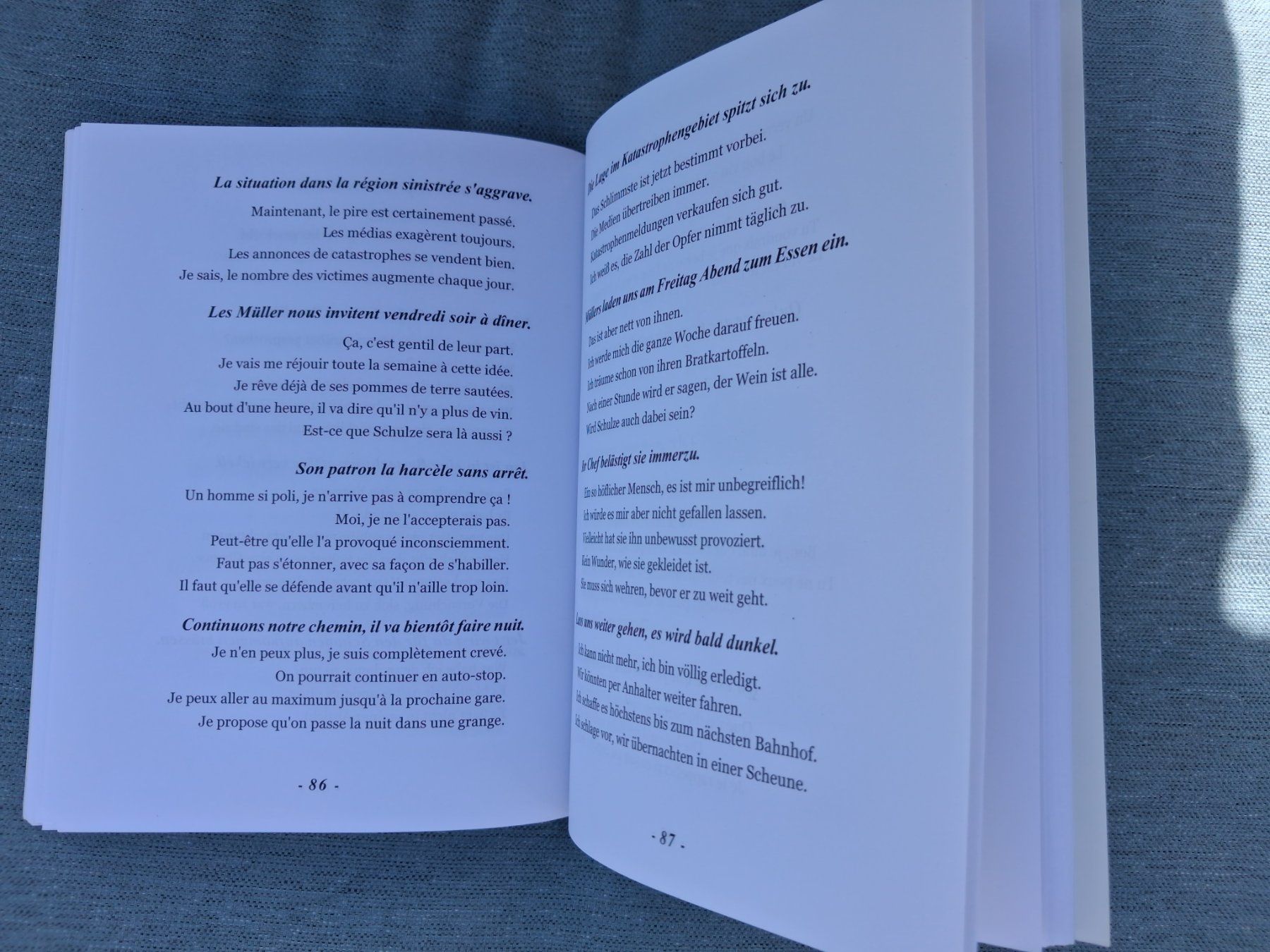 Libri: Allemand - réponse à tout - Ellipses – Usato da Fully venduto da Minouchka 3