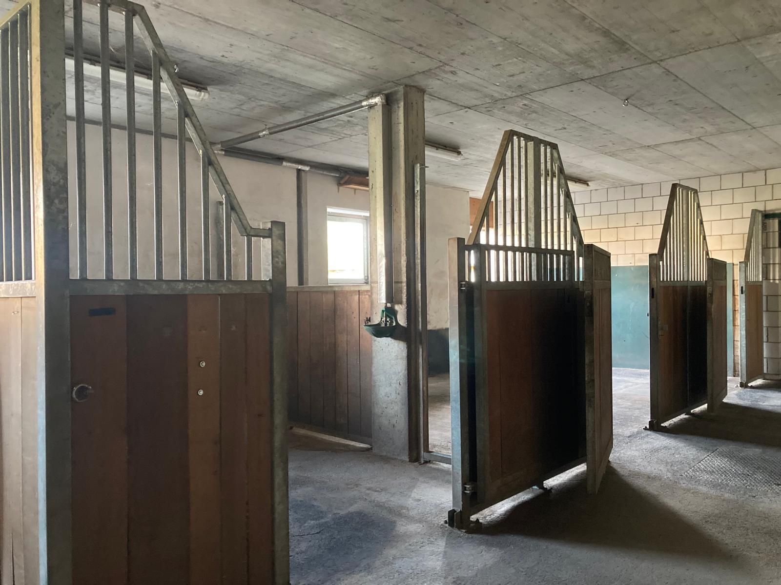 Stallzubehör: Pferdeboxen / Pferde Stall Boxen, massiv und robust – Gebraucht aus Olten von Janie8601 1